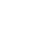 branco van-300x300
